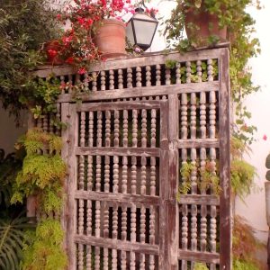 OLYMPUS DIGITAL CAMERA OLYMPUS DIGITAL CAMERA